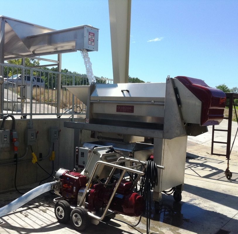 Receiving hopper, Waukesha 220 must pump and Puleo Vega 25 destemmer