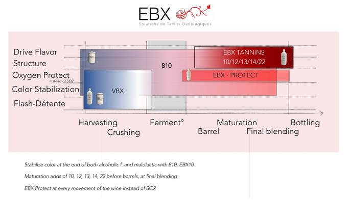 EBX chips, staves and inserts