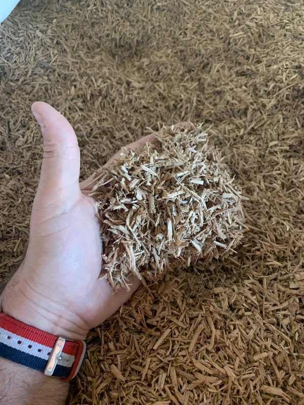 EBX oak chips in hand
