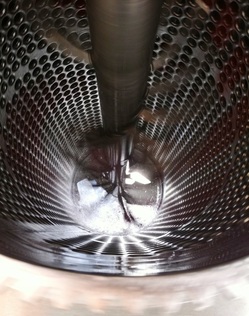 Wine Grape Processing Equipment Pule Vega 25 ton destemmer